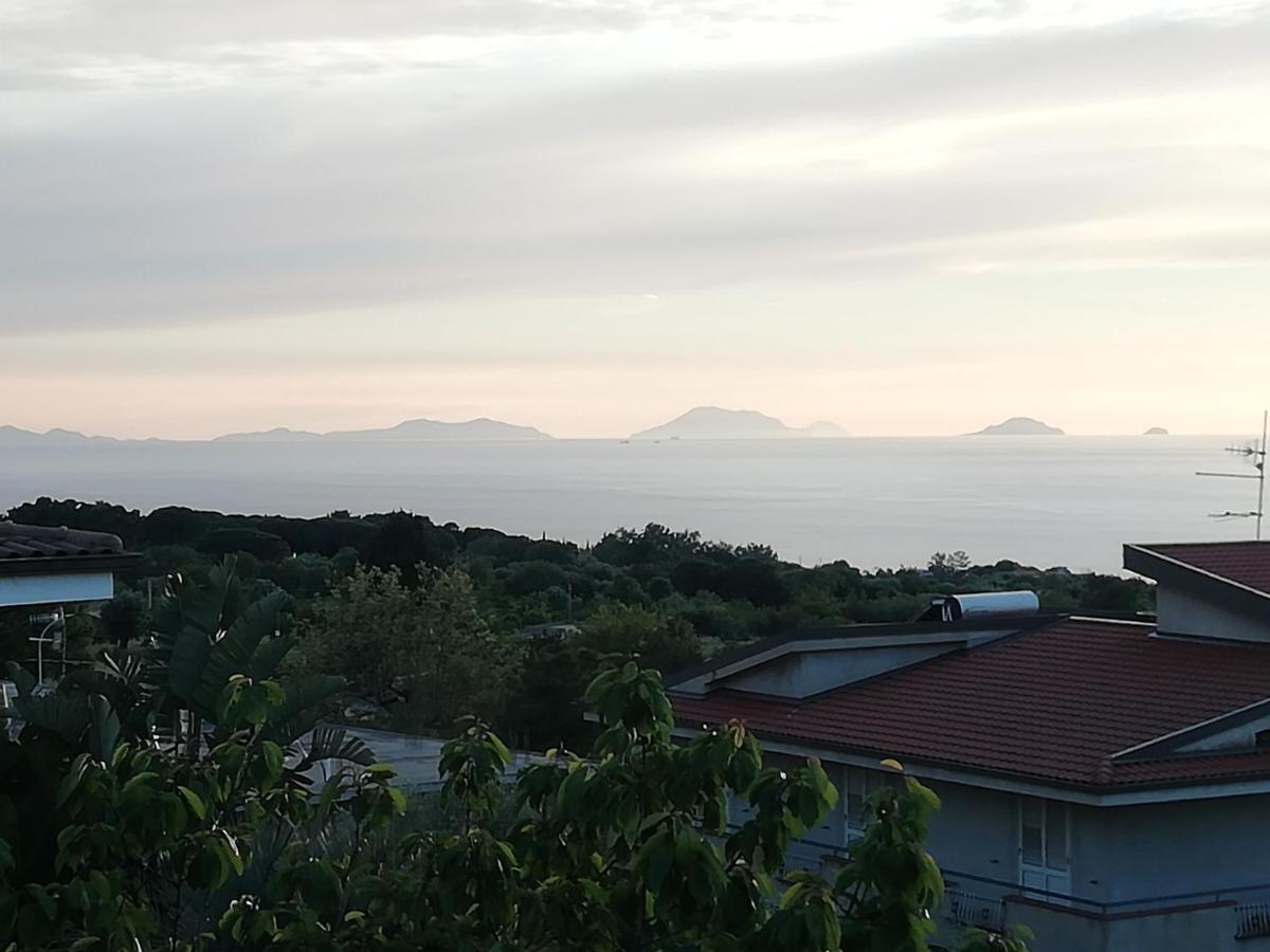 B&B Villa Orchidea Ricadi Εξωτερικό φωτογραφία