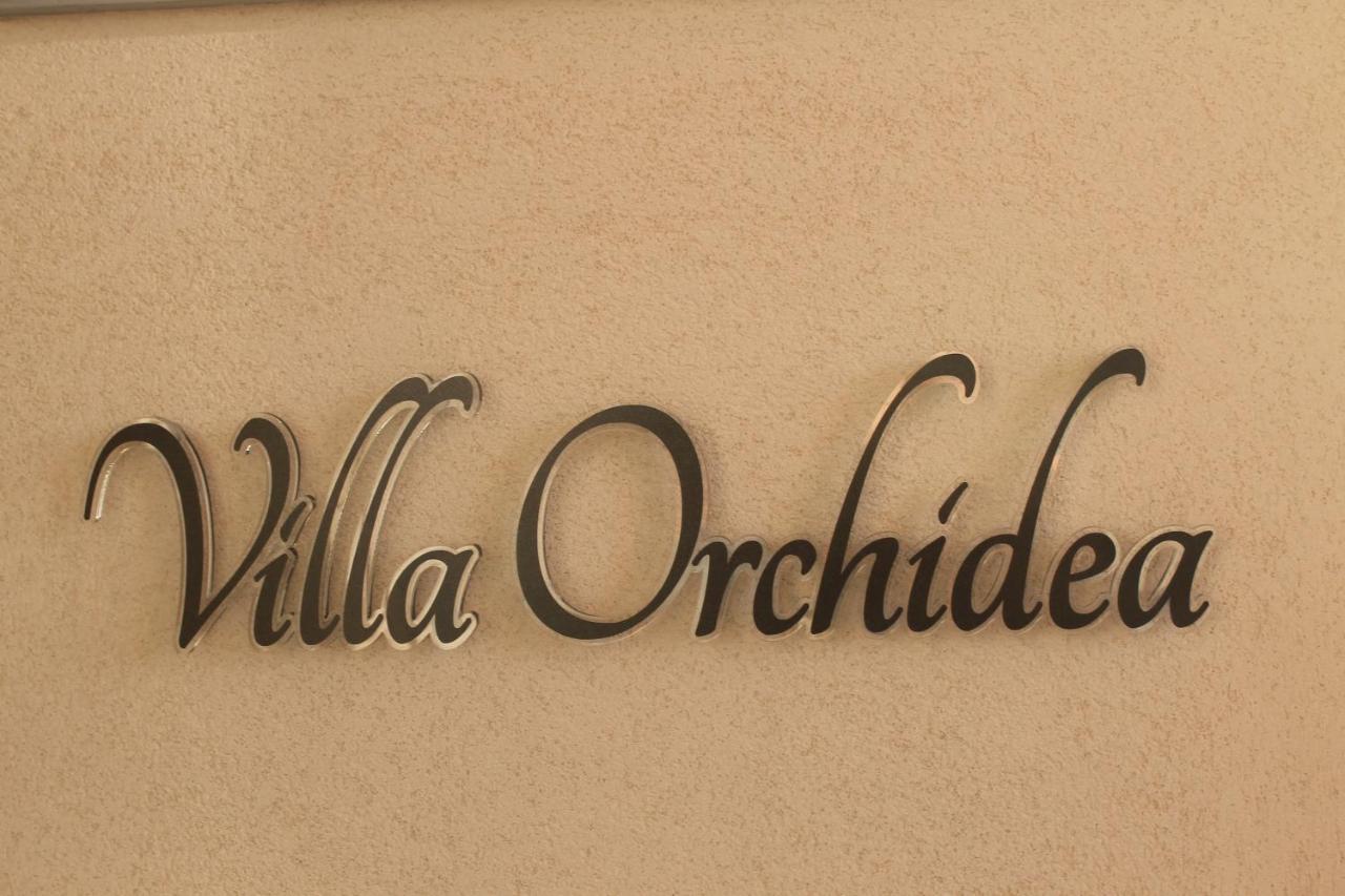 B&B Villa Orchidea Ricadi Εξωτερικό φωτογραφία
