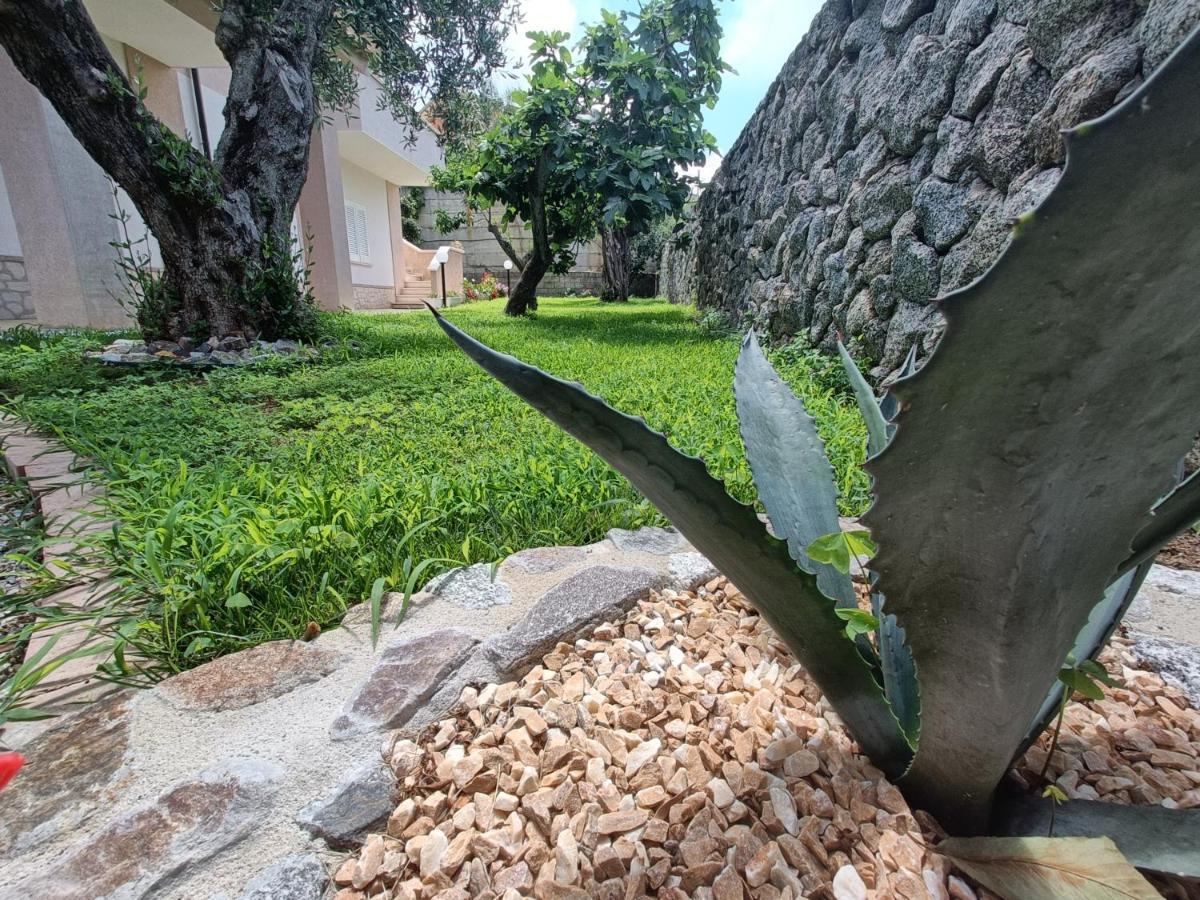 B&B Villa Orchidea Ricadi Εξωτερικό φωτογραφία